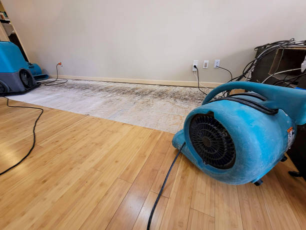 Professional Water Damage Repair technician working in Rockbridge, OH